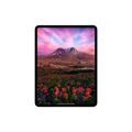 Apple iPad Pro (M4, 2024) 11" Wi-Fi + Cellular 256 ГБ, серебристый