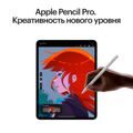 Apple iPad Pro (M4, 2024) 11" Wi-Fi + Cellular 256 ГБ, серебристый